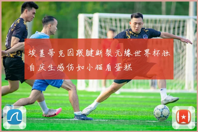 埃基蒂克因跟腱断裂无缘世界杯独自庆生感伤如小猫看蛋糕
