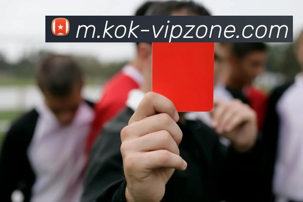 KOK官网全站App